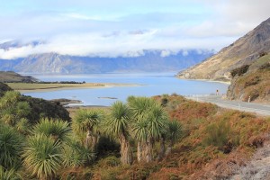 Paparoa NP - Gletscher-076